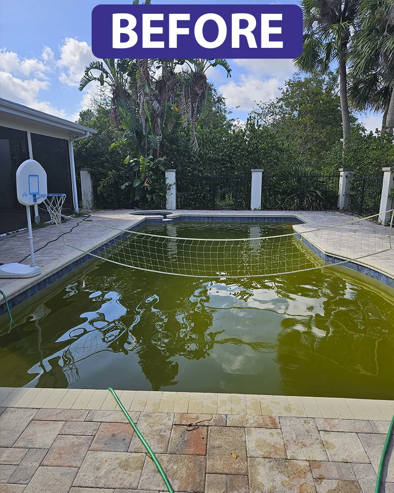 mr-blu-before-after-03